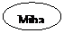 椭圆: Miba